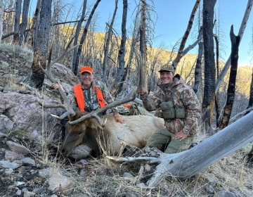 Sns Wyoming Wilderness Elk 2026 24.jpg